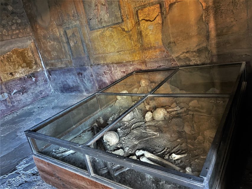 Pompeii : Theaters and the Garden of Fugitives - The Garden of Fugitives: Preserved Victims