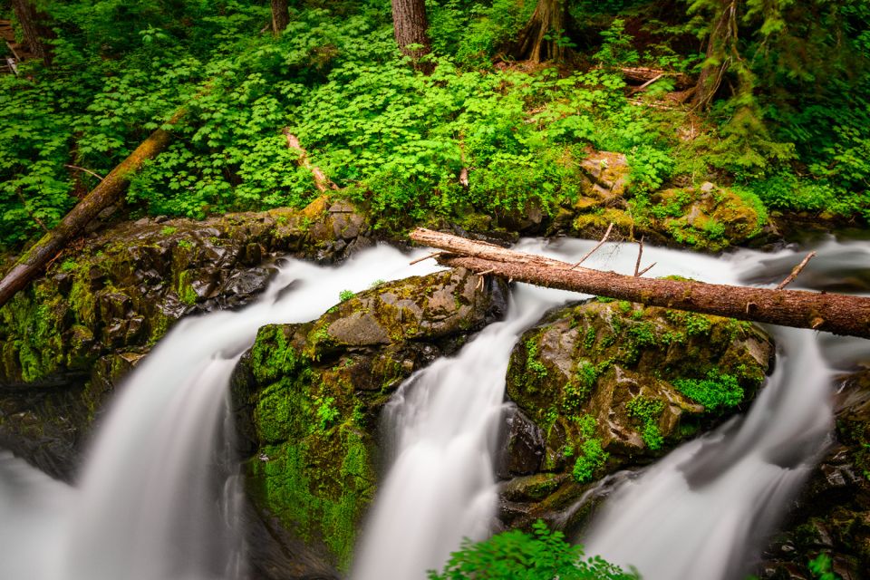 Port Angeles: Olympic National Park Driving Audio Tour - Tour Route and Highlights