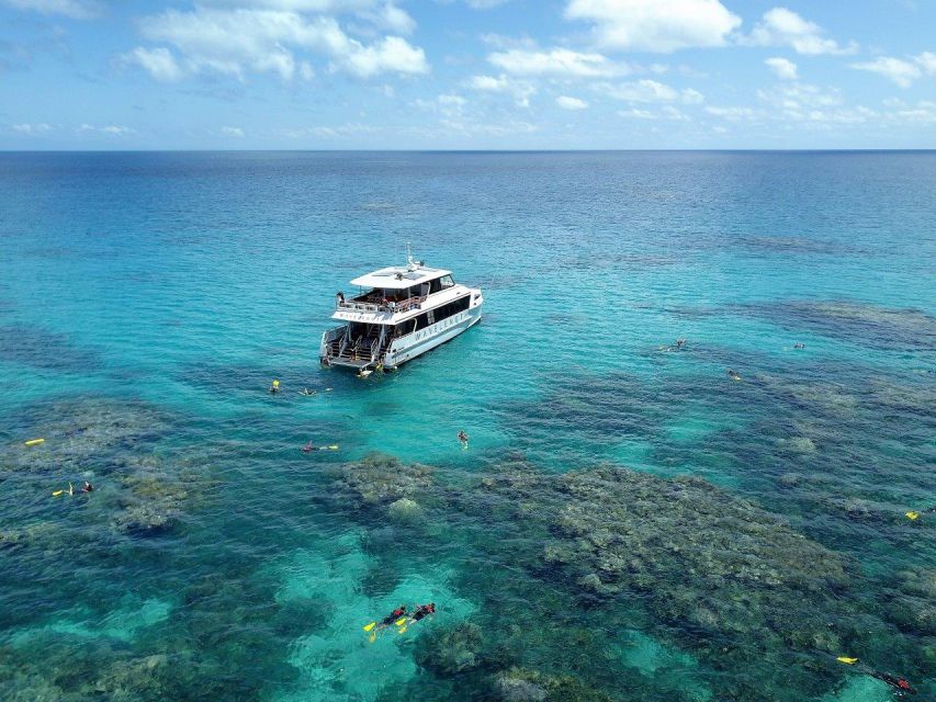 Port Douglas: Outer Great Barrier Reef Snorkeling Cruise - Pricing