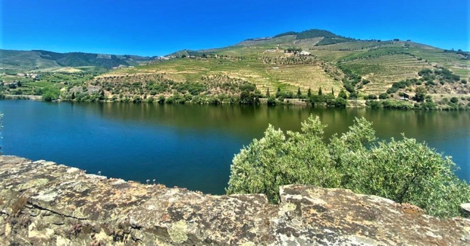 Porto: Douro Valley Tour With 3 Wineries & Lunch - Vineyards and Tastings