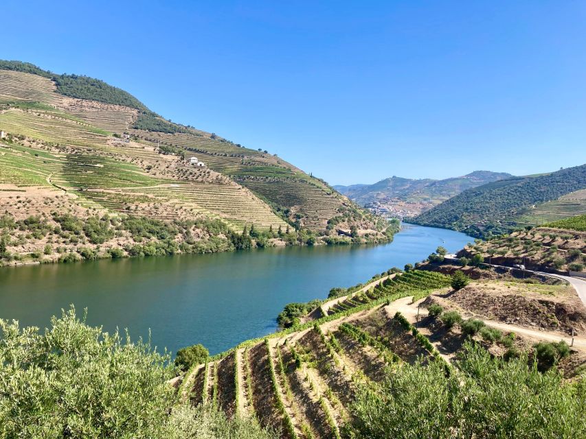 Porto: Douro Valley Wine Tour With Tastings, Boat, and Lunch - Itinerary Details