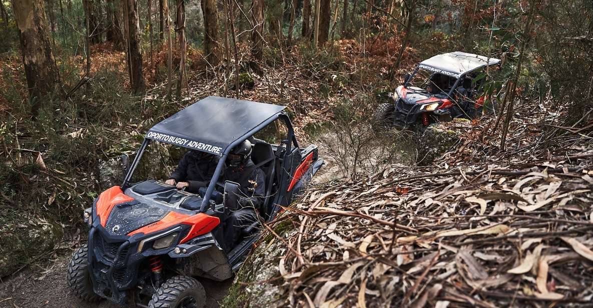 Porto: Extreme Tour by Oporto Buggy - Vehicle and Inclusions