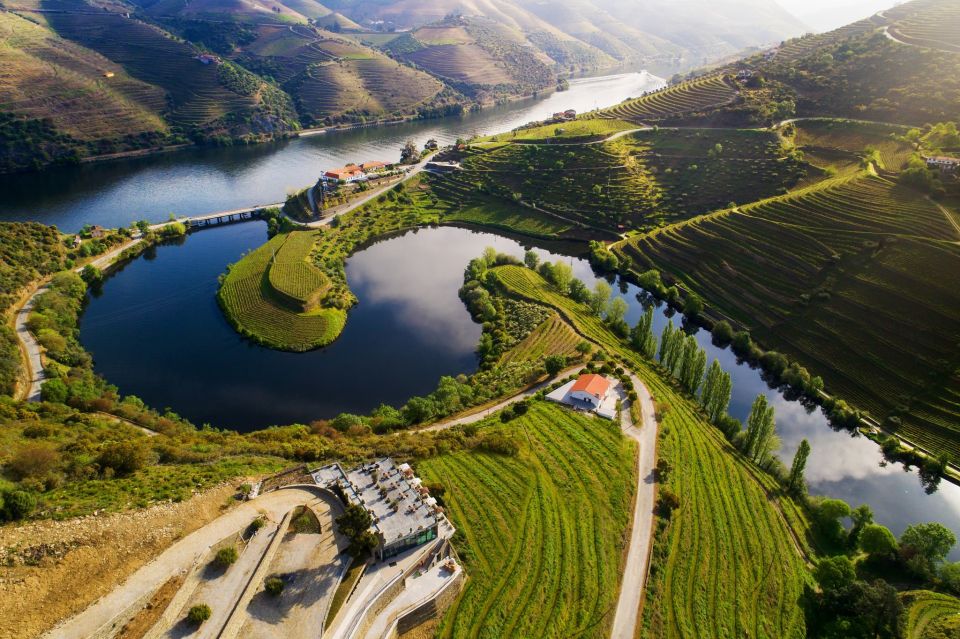 Porto: Private Douro Valley Tour With Port Tasting/Boat Trip - Guided Winery Visit