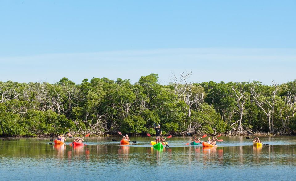 Premium Day Sail, Snorkel &, Kayak With Lunch - Inclusions