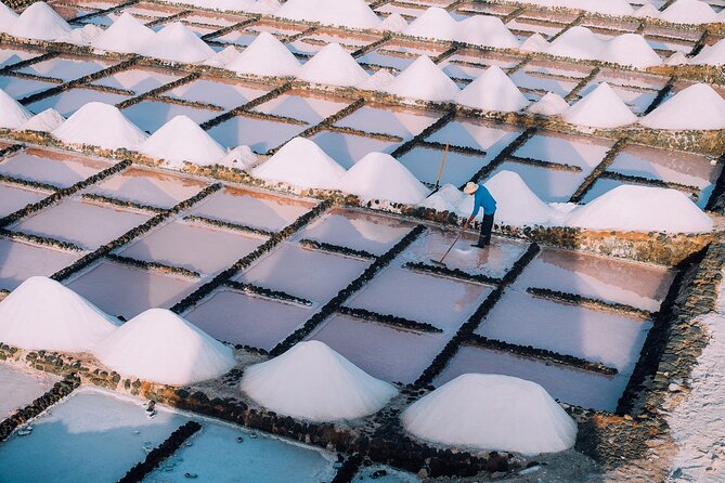 Private and Guided Tour to the Salinas De Janubio With Tasting - Meeting and Pickup Arrangements