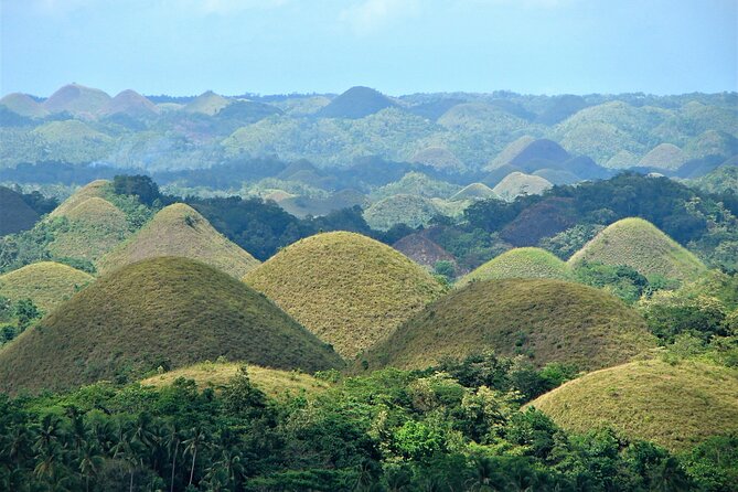 Private Bohol and Chocolate Hills With Loboc River Cruise - Inclusions and Logistics