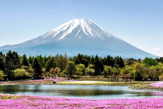 Private Car/Van Charter Full Day Tour MT Fuji And Hakone, (Guide) - Pricing and Inclusions