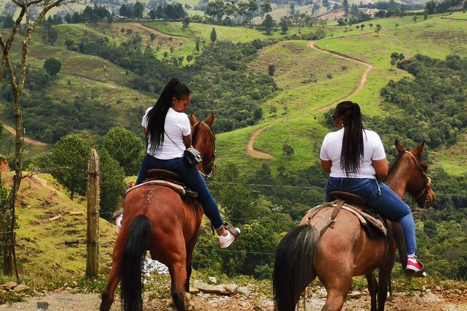 Private Coffee Farm & Horseback Riding Tour: All in One Great Day From Medellín - Inclusions of the Tour