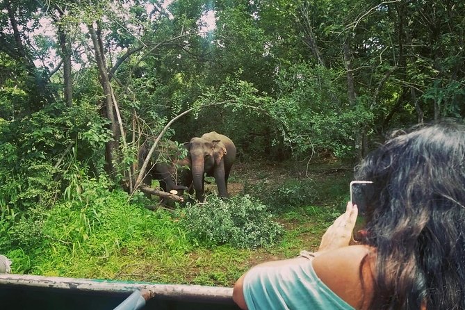 Private Dambulla Sigiriya Tour From Kandy With Lunch - Inclusions