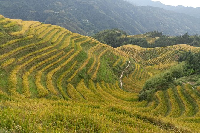 Private Day Tour: Longji Rice Terraces and Long Hair Village - Tour Inclusions