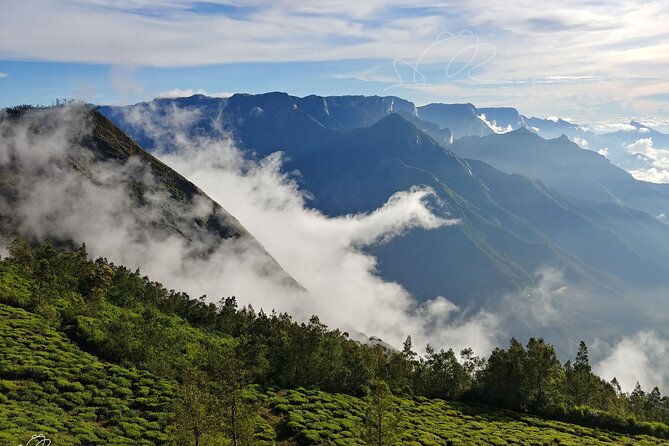 Private Day Trip to Munnar From Kochi (Cochin) - Highlights of the Tour