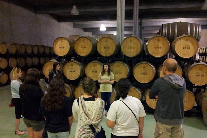 Private Douro Valley Wine Tour: 2 Wine Estates, Lunch and Cruise - Included Activities