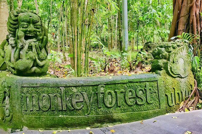 Private Full-Day Tour in Bali & FREE WIFI - Inclusions