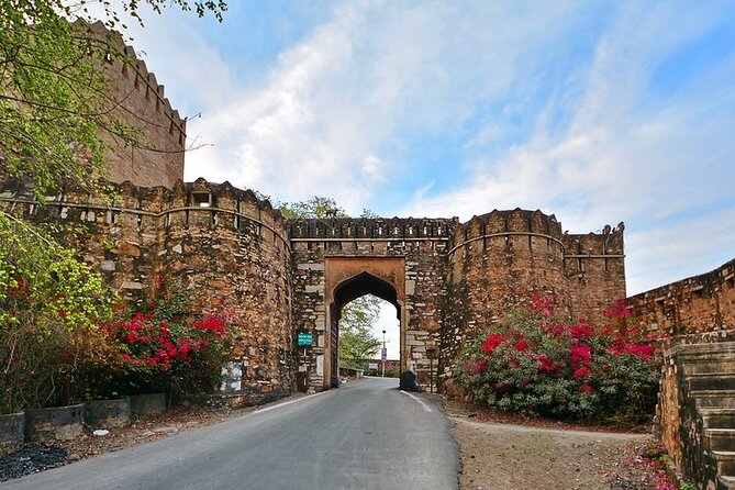 Private Full-Day Trip to Chittorgarh Fort From Udaipur With Optional Guide - Private Air-Conditioned Transportation Provided
