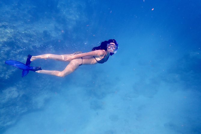 Private Looe Key Snorkel From Big Pine Key - Important Information