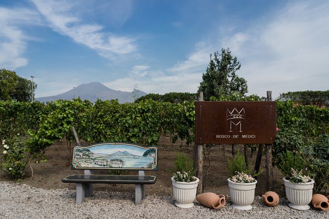 Private Pompeii Wine Tasting With Lunch - Personalized Tour of Vineyards and Cellars