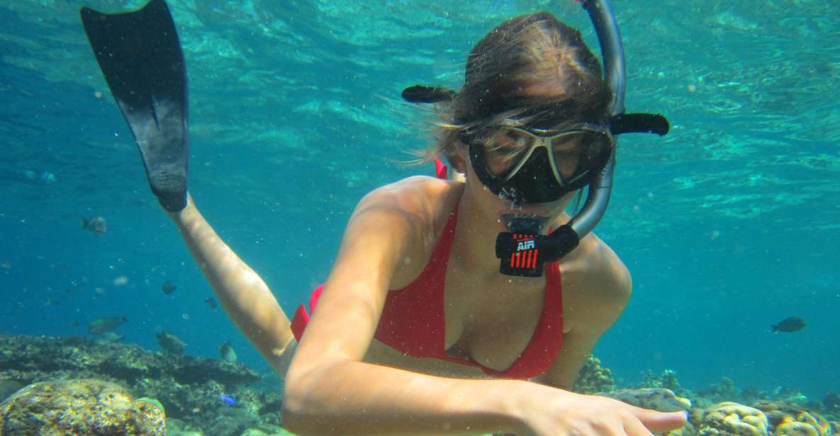 Private Snorkeling Family or Group at Menjangan Island - Inclusions