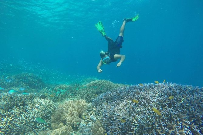 Private Snorkeling Gili Island (Coral, Statue and Turtle) - Meeting and Pick-up