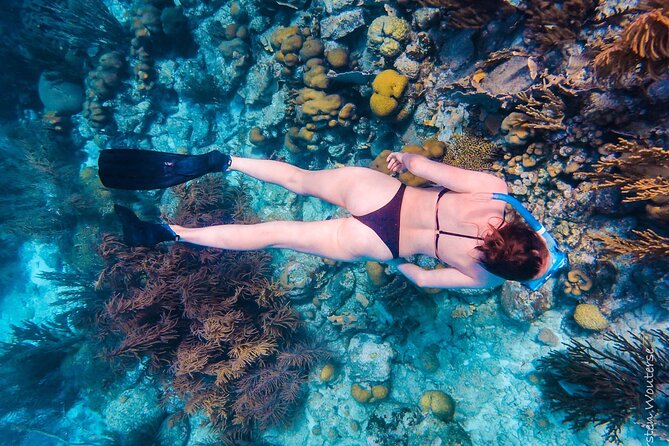 Private Snorkeling Tour Bonaire - Guides and Their Expertise