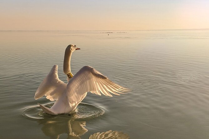 Private Tour From Budapest to a Top Hidden Treasure Region of Europe: Lake Balaton - Logistics