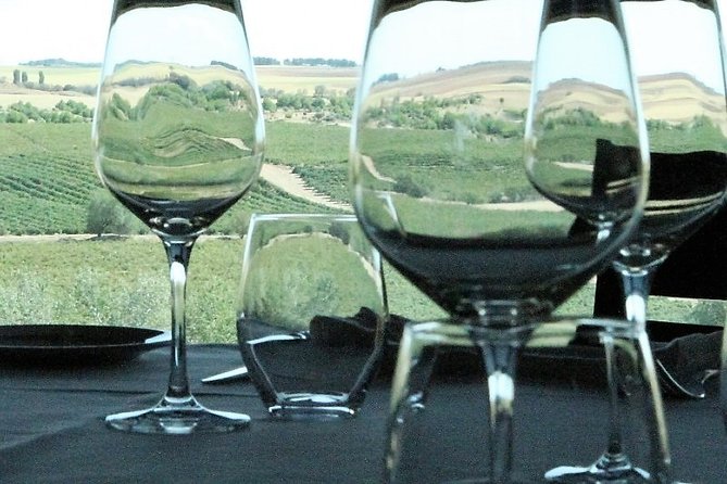 PRIVATE TOUR -Madrid Wineries Day Tou With Hotel Pickup and Lunch - Tour Inclusions