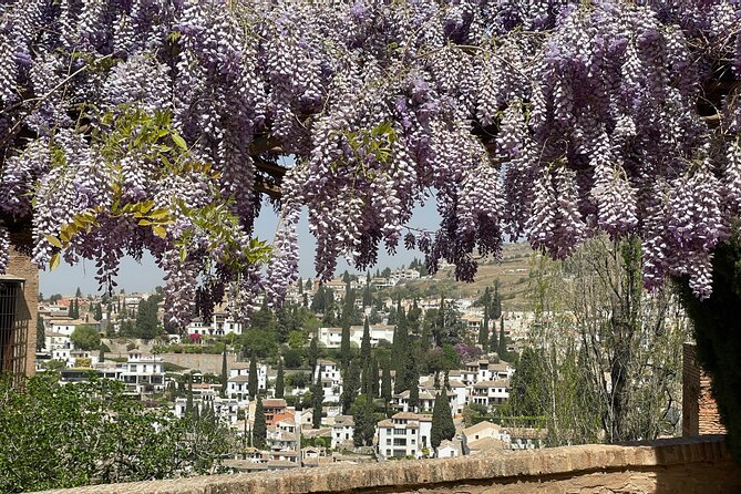 Private Tour of the Alhambra in Granada (Ticket Included) - Inclusions and Accessibility