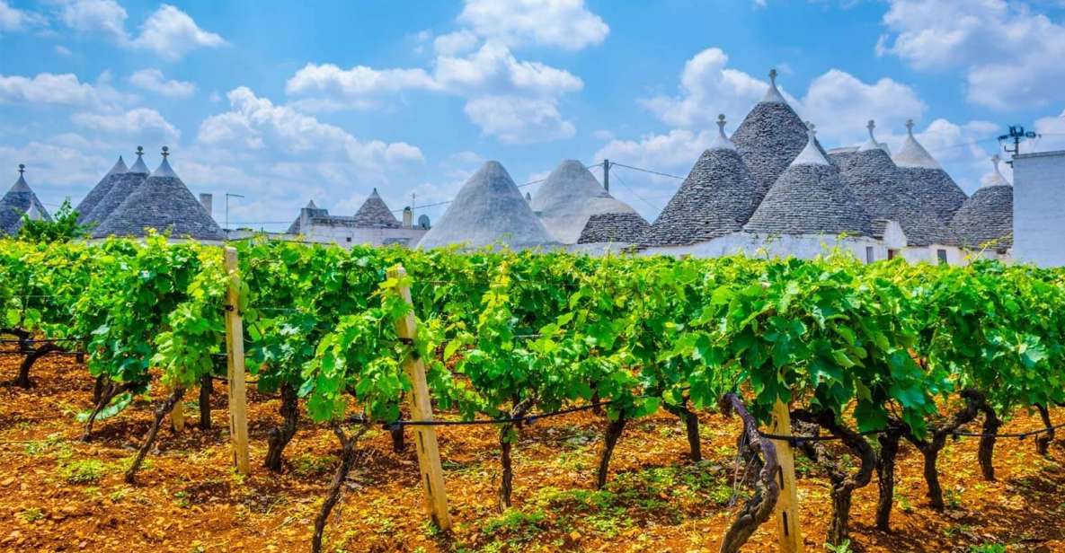 Private Tour to Ostuni, Alberobello, Locorotondo & Winery - Itinerary Highlights