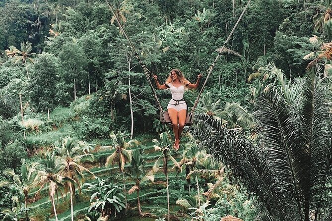 Private Tour to Sumampan Waterfall, Monkey Forest, Rice Terraces and Swing - Kemenuh Butterfly Park
