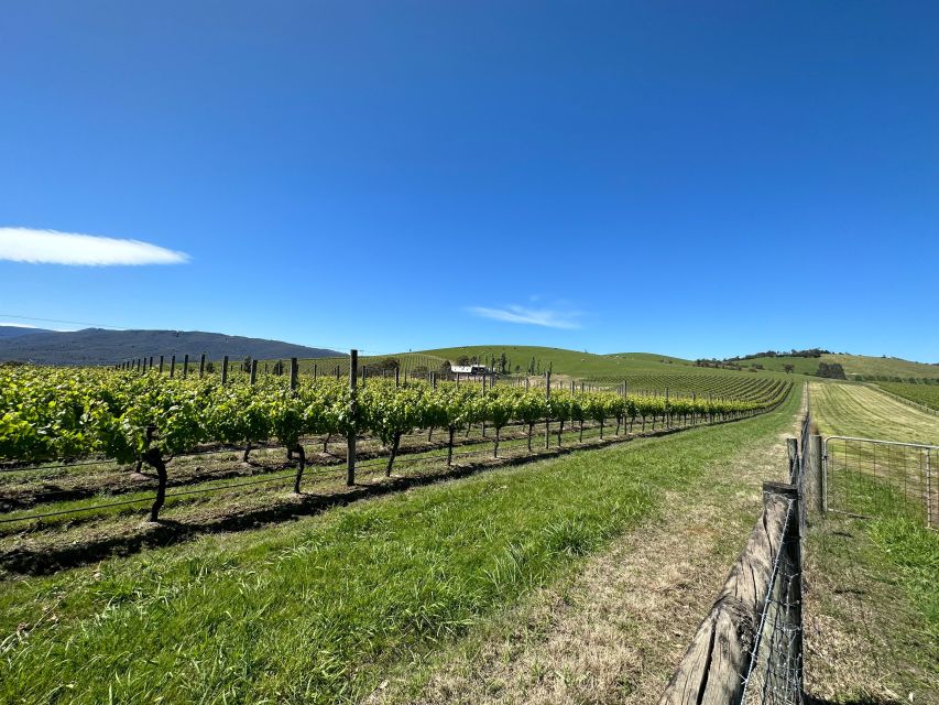 Private Tour: Yarra Valley Wine, Cheese, Gin & Chocolatrie - Tour Description & Pricing