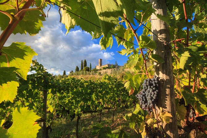 Private Tuscany Tour From Florence Including Siena, San Gimignano and Chianti Wine Region - Tour Itinerary