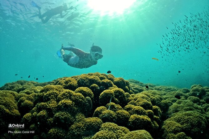 PROFESSIONAL SNORKELING to Explore Hidden Coral Spots (MAX 9 PAX) - Small Group Speedboat Excursion
