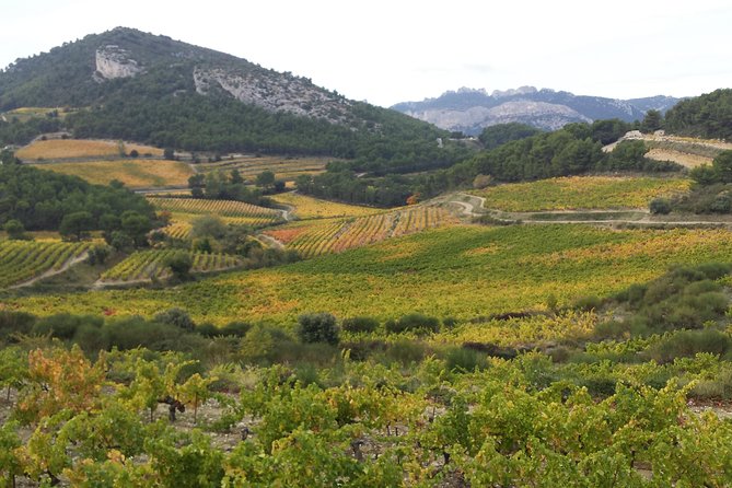 Provence Cru Wine Small-Group Half-Day Tour From Avignon - Whats Included