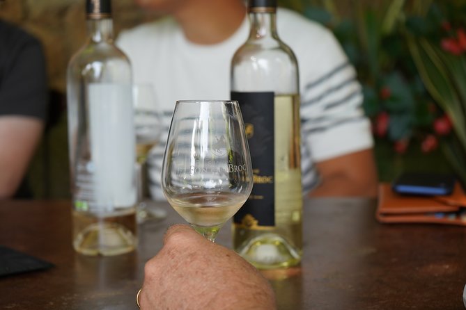 Provence Wine Small Group Day Tour From Nice With Tastings & Lunch - Wineries and Wine Tastings
