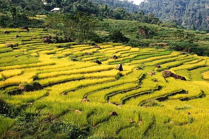 Pu Luong Nature Reserve 1-Day Tour | Pickup From Pu Luong | Top 1 - Pickup Details