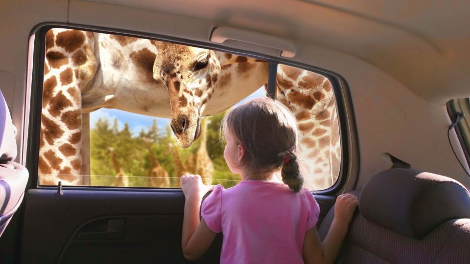 Puebla Africam Safari Park, Live an Unforgettable Adventure! - Incredible Wildlife Experiences