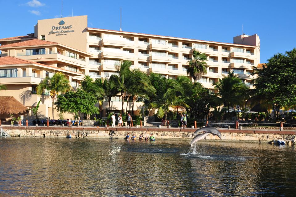 Puerto Aventuras: Amazing Dolphin Encounter With Lunch - Buffet Lunch Details