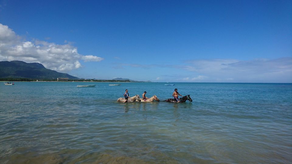 Puerto Plata: Horseback Riding on the Beach - Riding Through the Jungle