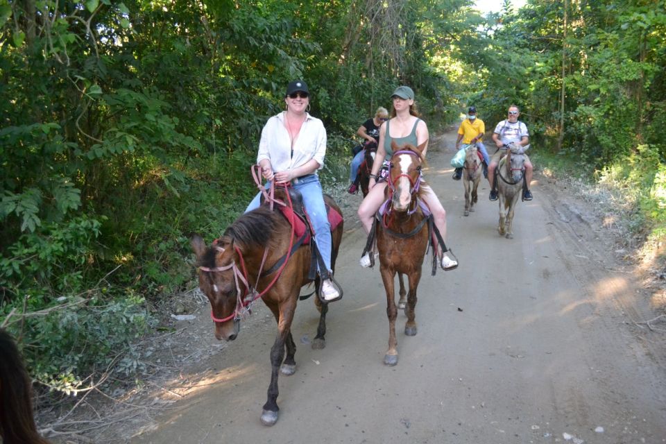 Puerto Plata: Mountain Horse Ride Tour With Drinks - Exclusions