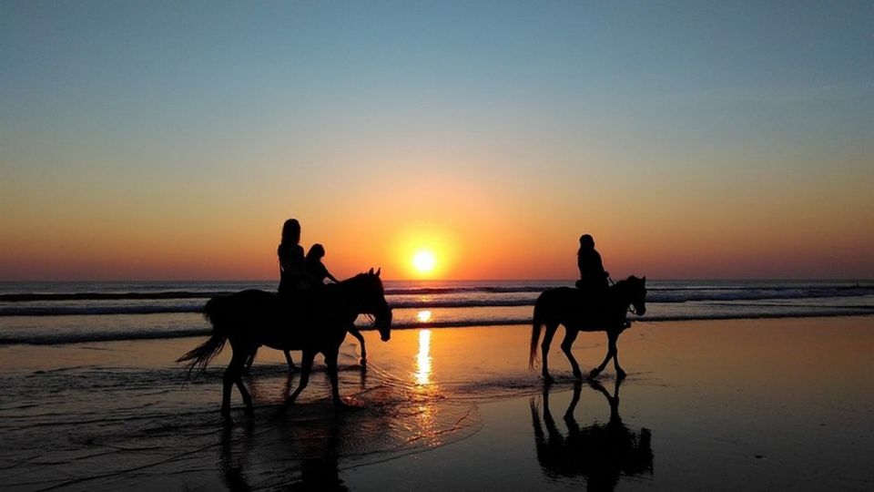 Puerto Plata: Sunset Beach Horseback Riding Tour - Exploring the Beach