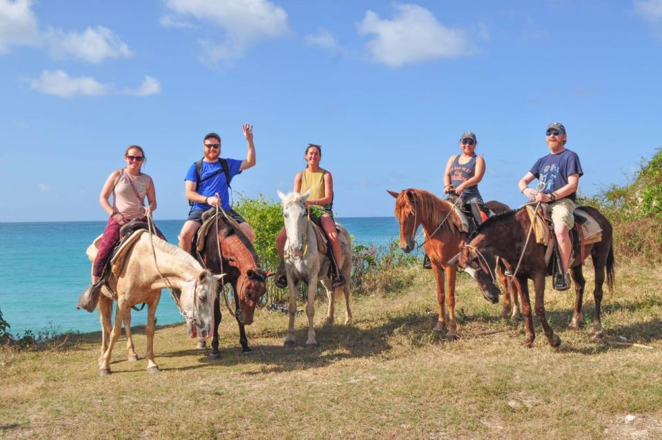 Punta Cana: Horseback Riding Amazing Adventure - Pickup Service Provided