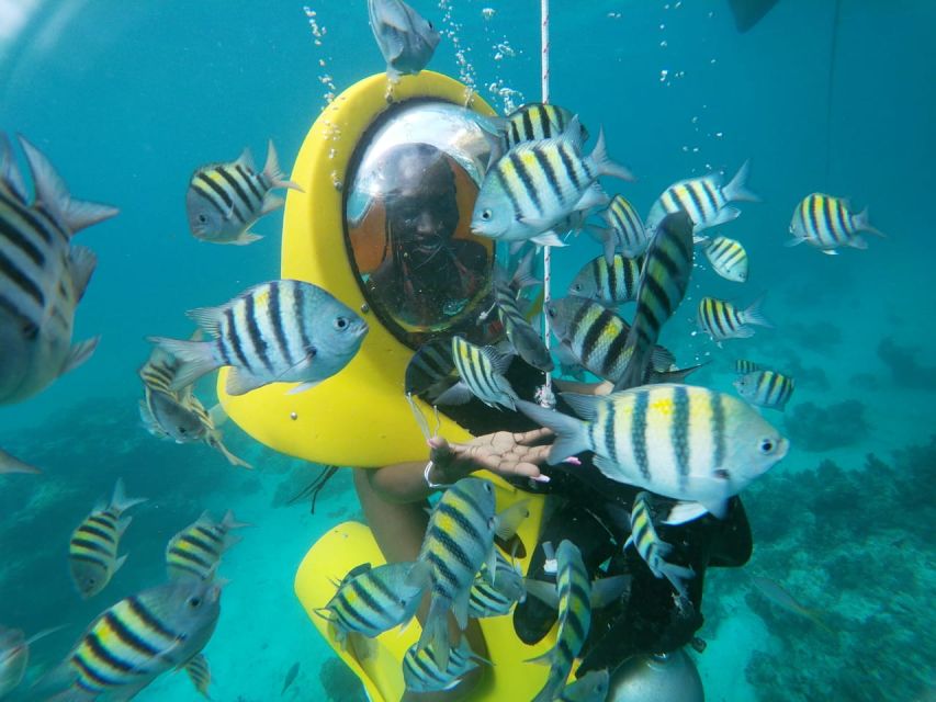 Punta Cana: Scubadoo Ocean Exploration Diving Adventure - Inclusions