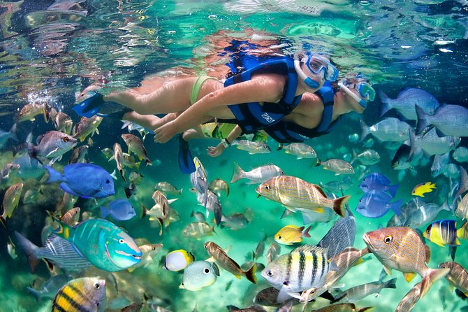 Punta Cana Snorkeling Party Cruise - Participant Requirements