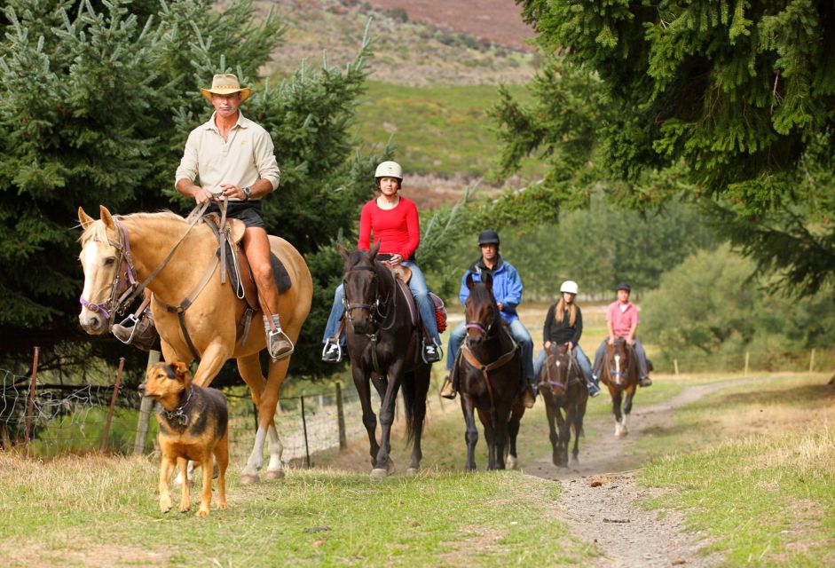 Queenstown: Walter Peak Horse Trek & TSS Earnslaw Cruise - Booking Information