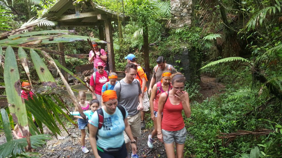 Rainforest Hike and Beach - Duration and Price