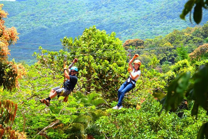 Rainforest Zipline in Foothills of the National Rainforest - Tour Details