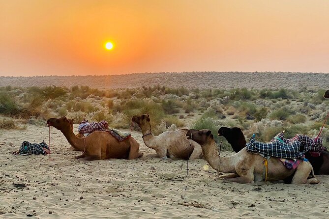 Rajs Unexplored Private Camel Safaris Under the Stars - Included Features of the Packages