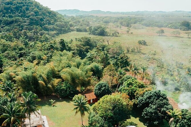 Rastafari Cultural ATV Community Experience From Negril - Inclusions and Amenities