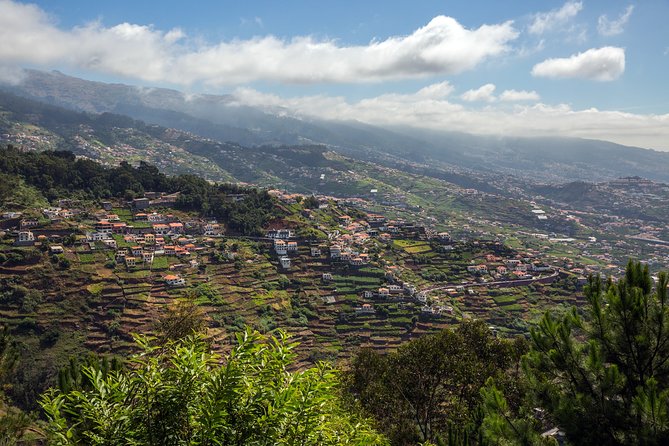 Real Life, Mountains & Sea Cliffs (Nun´s Valley View) - Half Day 4x4 Tour - Discover Madeiras Top Sights