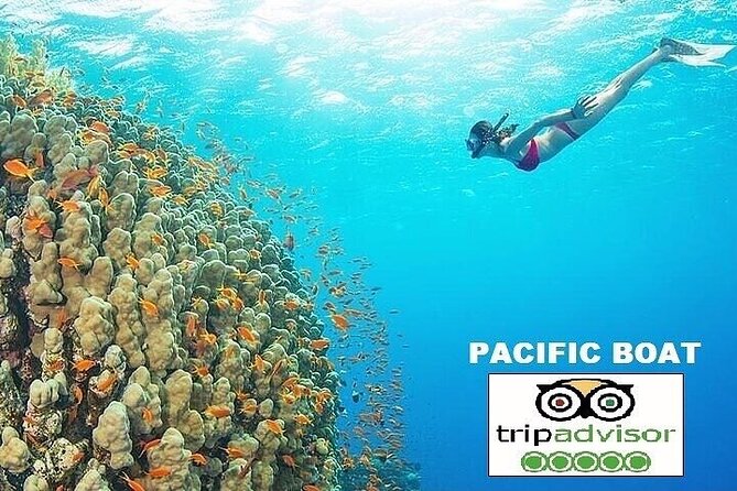 Real Snorkel & Island Hopping Trip by SPEEDBOAT With Small Group - Inclusions and Amenities