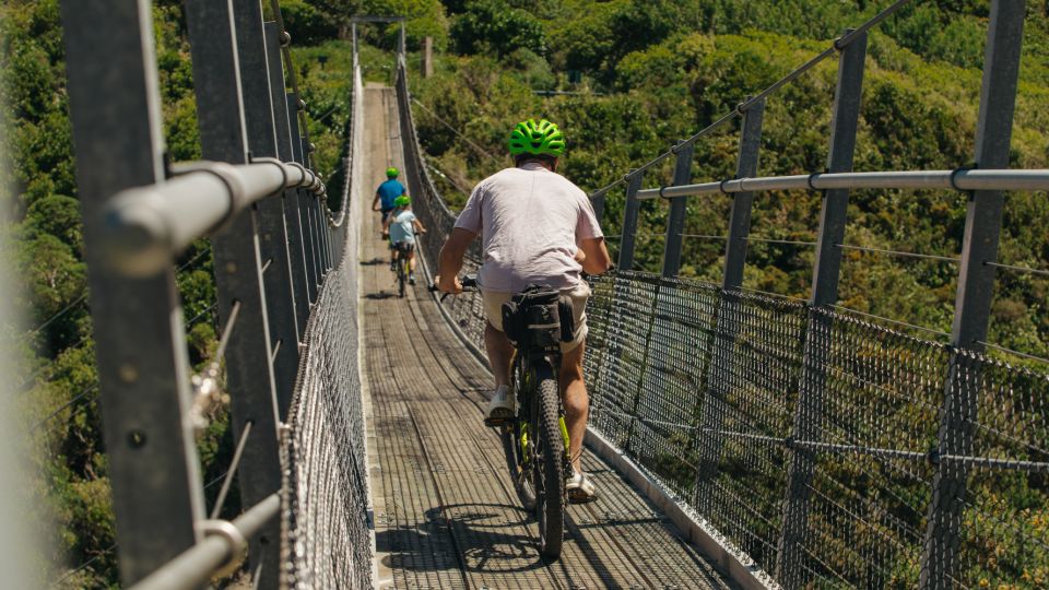 Remutaka Rail Trail Ebike Shore Excursion for Cruise Ships - Itinerary Overview